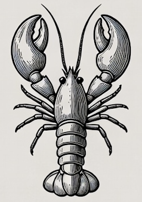 Programme participatif